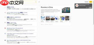 俄罗斯的浏览器使用体验如何