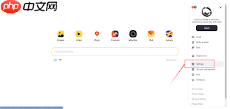 俄罗斯的浏览器使用体验如何 - php中文网