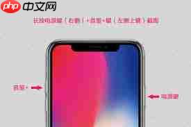 苹果X截图方法