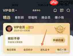 爱奇艺如何共享会员给他人