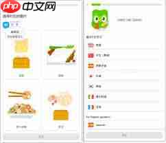 怎样用多邻国学一门语言