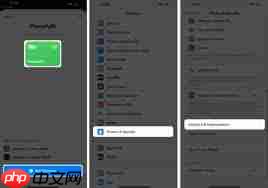 如何准确查询苹果手机的充电次数记录
