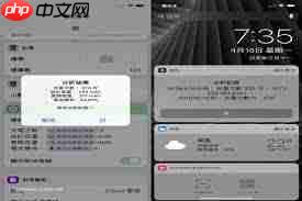 如何准确查询苹果手机的充电次数记录