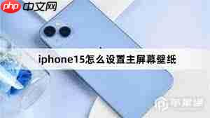苹果15如何更改锁屏与主屏幕壁纸