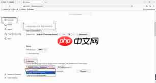 火狐浏览器英文版如何设置为中文