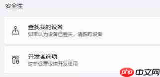 Win11如何设置隐私和安全性