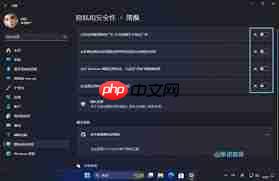 Win11如何设置隐私和安全性
