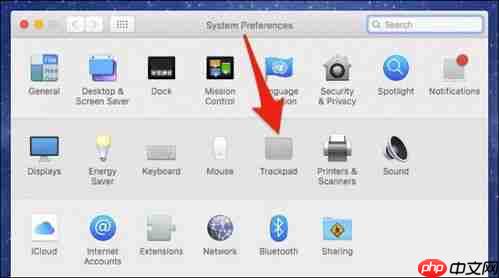 mac电脑如何关闭双指旋转功能