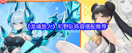 龙魂旅人旷野队最强阵容攻略：平民到高配一网打尽