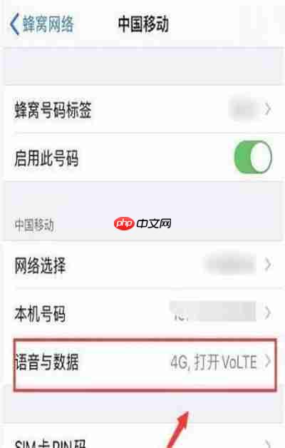 苹果12怎么设置5g网络