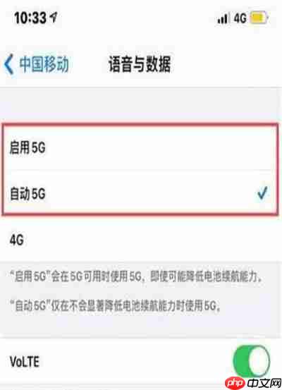 苹果12怎么设置5g网络