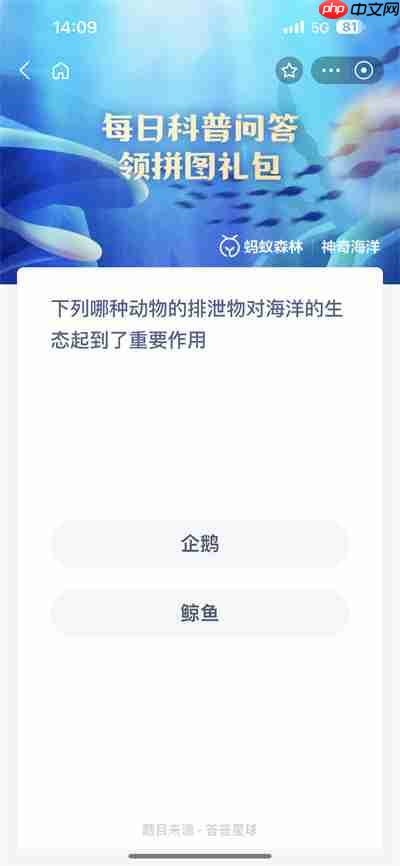 神奇的海洋世界动画片 播放神奇海洋