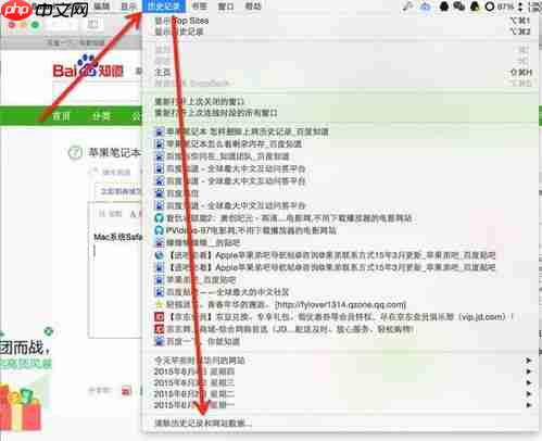 文心一言如何清除历史记录