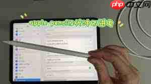 applepencil充不进电怎么解决