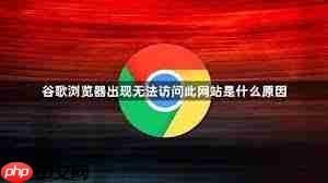 谷歌浏览器无法访问此网站