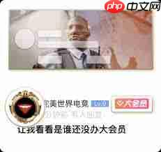 完美世界电竞会员攻略