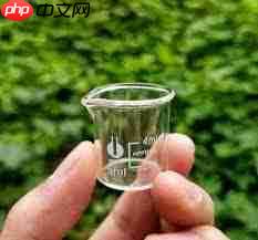 小烧杯是什么网络流行梗