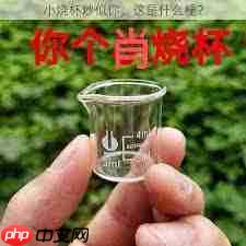 小烧杯是什么网络流行梗