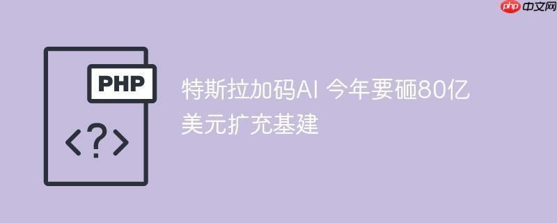 特斯拉加码AI 今年要砸80亿美元扩充基建