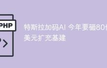 特斯拉加码AI 今年要砸80亿美元扩充基建