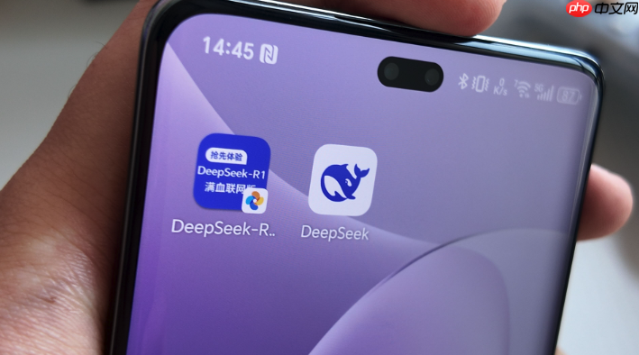 苹果用户如何简单操作DeepSeek实用指南