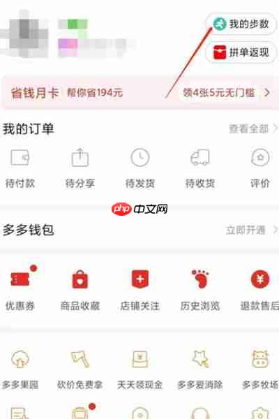 拼多多走路赚钱功能在哪里