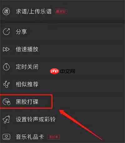 网易云音乐黑胶打碟模式怎么进入