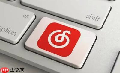 网易云音乐黑胶打碟模式怎么进入