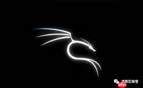 Kali Linux 2019.4 更新体验