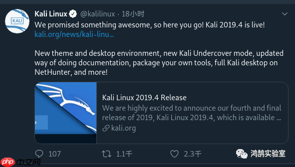 Kali Linux 2019.4 更新体验