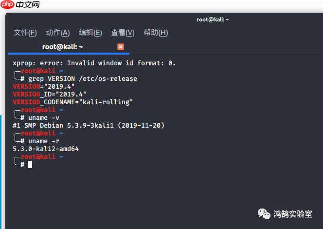 Kali Linux 2019.4 更新体验