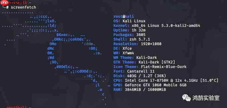 Kali Linux 2019.4 更新体验