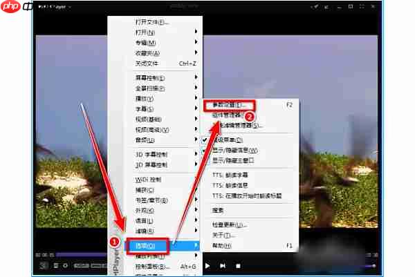 kmplayer plus怎么调整字幕？kmplayer plus调整字幕的操作步骤