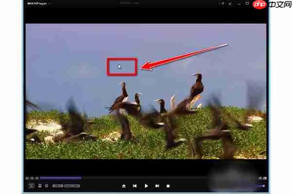 kmplayer plus怎么调整字幕？kmplayer plus调整字幕的操作步骤