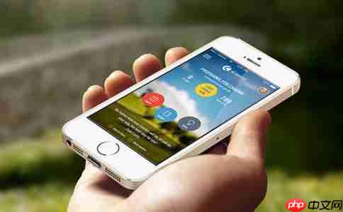 缩短投票小程序开发周期专家给出这几点建议