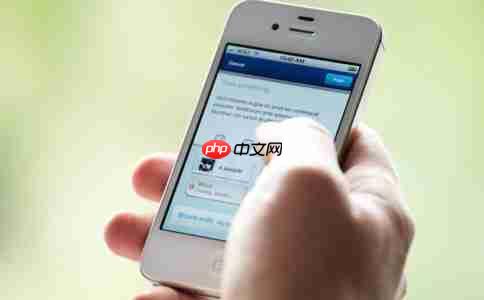 缩短投票小程序开发周期专家给出这几点建议