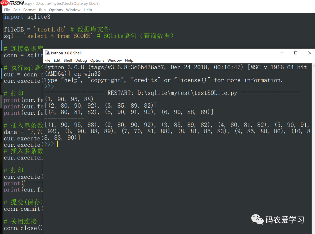 玩转SQLite5：使用Python来读写数据库