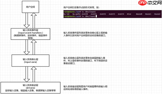 Linux应用开发【第三章】输入系统应用开发