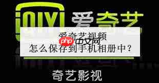 爱奇艺视频下载到相册方法