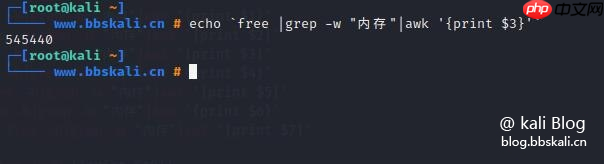 Kali Linux 命令大全 Kali Linux 命令大全