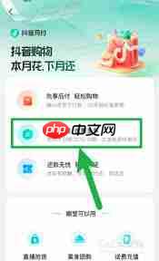 抖音月付无法使用分期功能怎么办