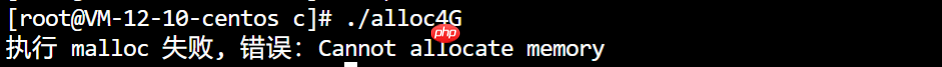 在 4G 内存的机器上，申请 8G 内存会怎么样？