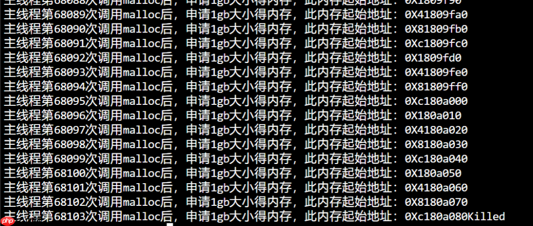 在 4G 内存的机器上，申请 8G 内存会怎么样？