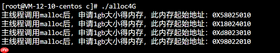 在 4G 内存的机器上，申请 8G 内存会怎么样？