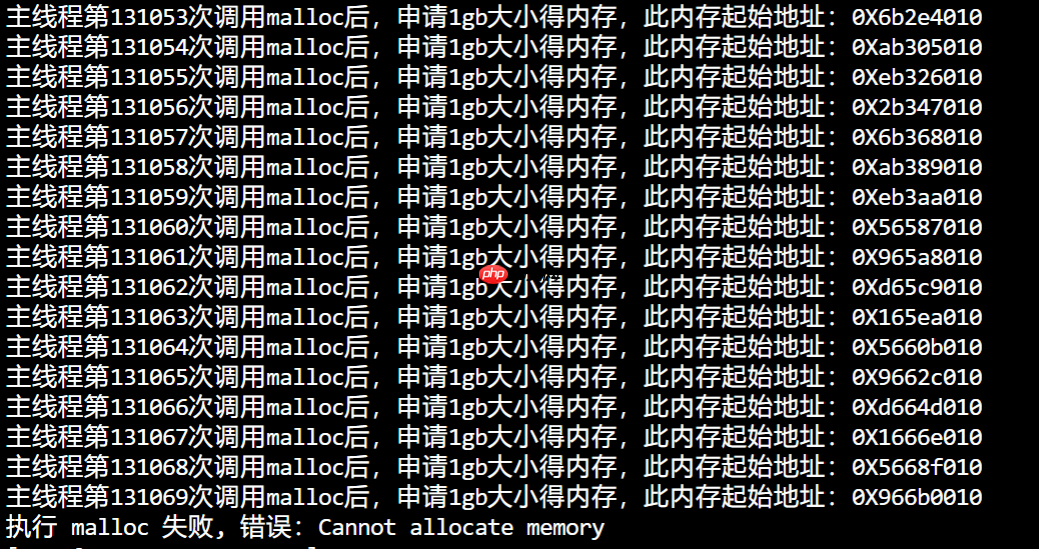 在 4G 内存的机器上，申请 8G 内存会怎么样？