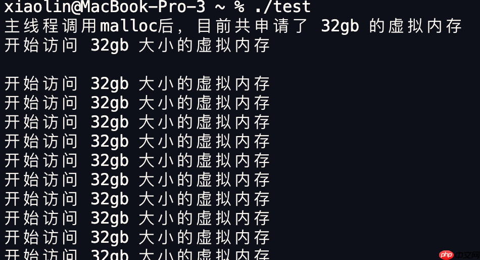 在 4G 内存的机器上，申请 8G 内存会怎么样？