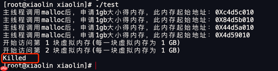 在 4G 内存的机器上，申请 8G 内存会怎么样？