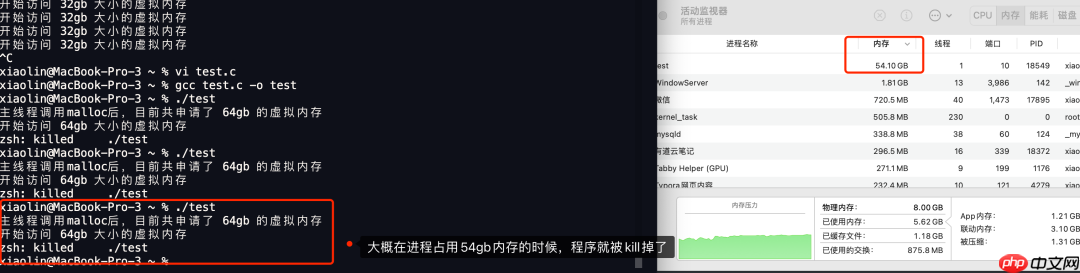 在 4G 内存的机器上，申请 8G 内存会怎么样？