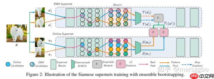 ICCV 2021 | BossNAS: Exploring Hybrid CNN-transformers with Block-wisely Self-supervised NAS
