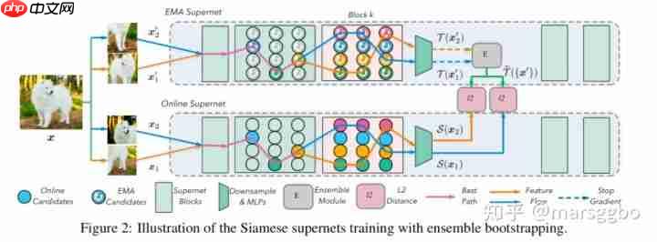 ICCV 2021 | BossNAS: Exploring Hybrid CNN-transformers with Block-wisely Self-supervised NAS